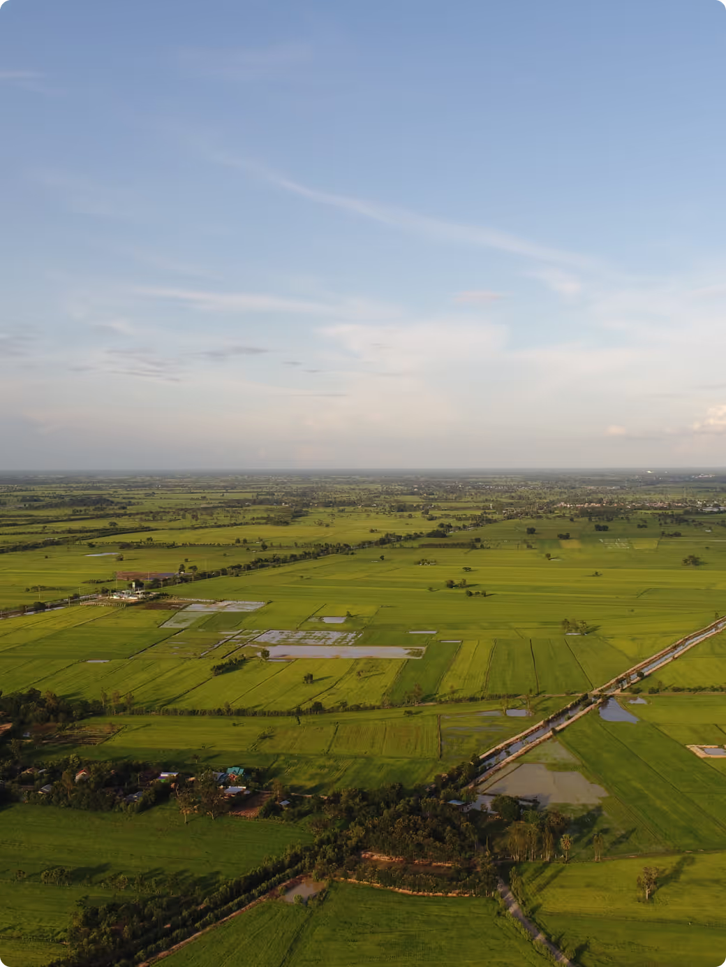 Green fields with light flooding
